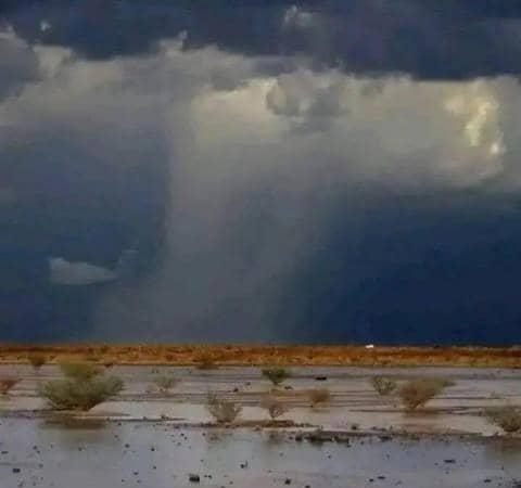أمطار محتملة على 7 ولايات وحرارة تصل 46 درجة